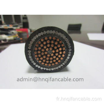 COMMANDE CABLE FLEXBILE COPPER FIL 24 × 0,75 mm2